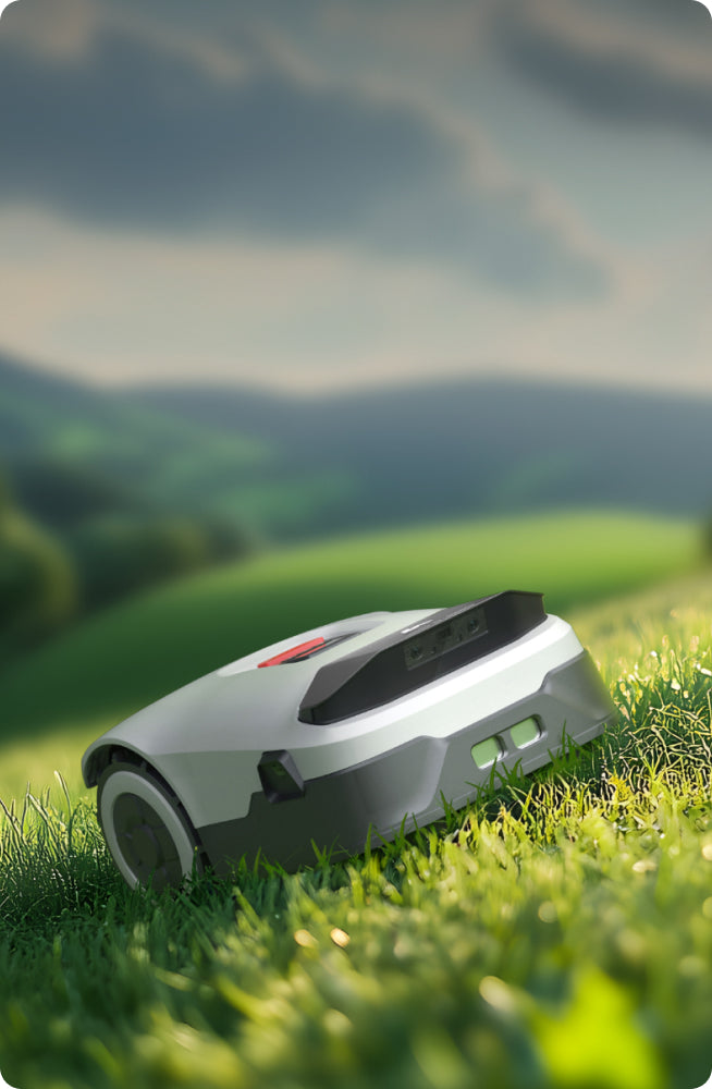 Smart Bot for the Easy Life