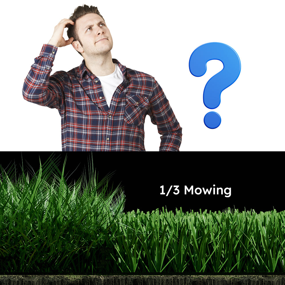 Perfect Your Lawn: 1/3 Mowing Principle