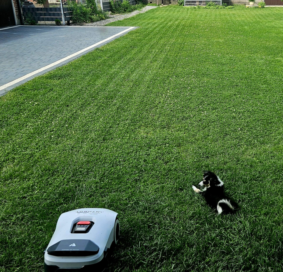 genie robot lawn mower review